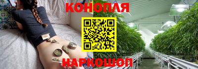Альфа ПВП Лесосибирск