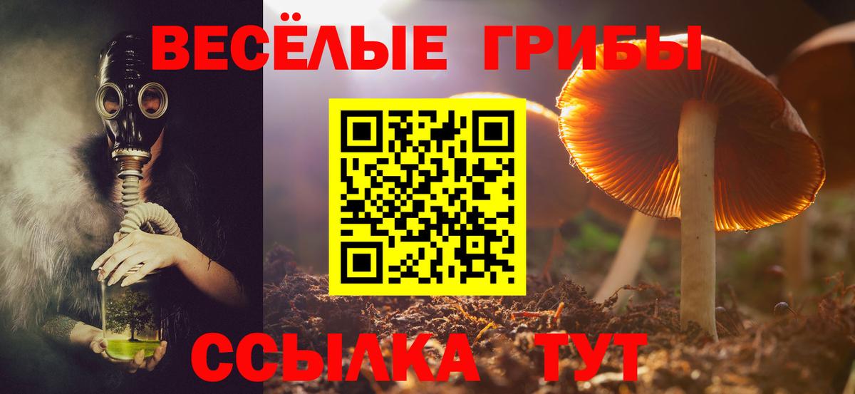 Галлюциногенные грибы Cubensis  Псилоцибиновые грибы ЛСД  Шали  Вход с VPN 